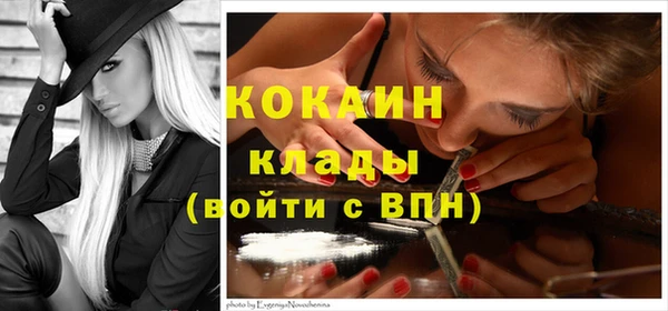 МДПВ Каменка