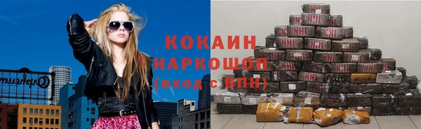 МДПВ Каменка