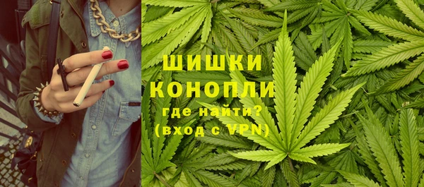 стафф Каменногорск