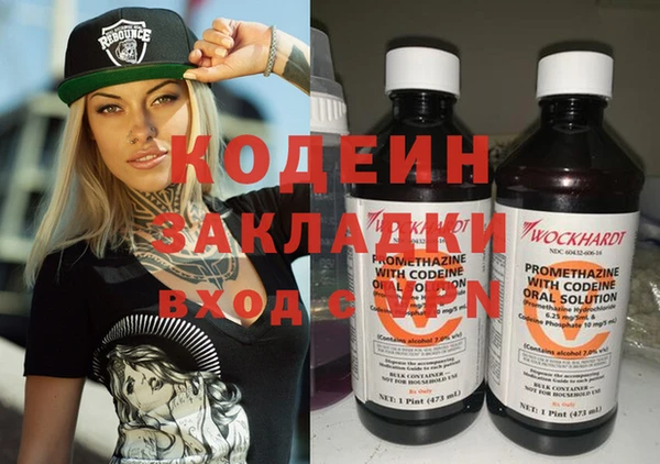 индика Инта