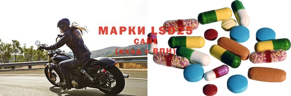 стафф Каменногорск