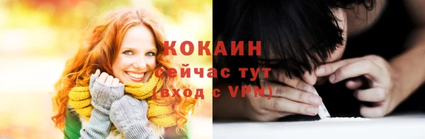 МДПВ Каменка
