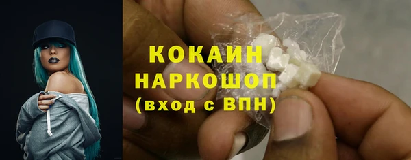 МДПВ Каменка