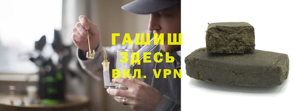 индика Инта