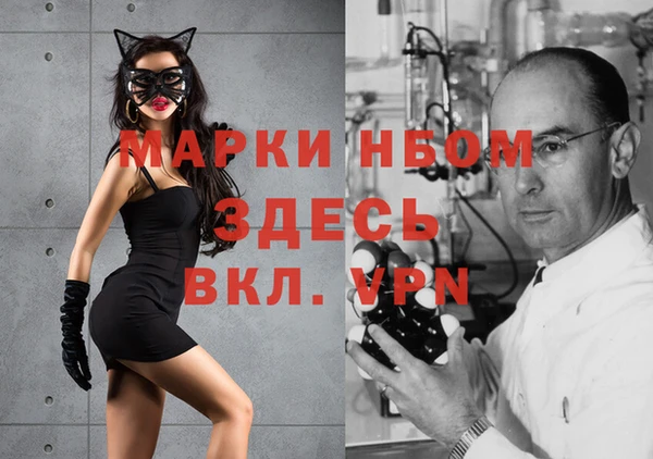 стафф Каменногорск