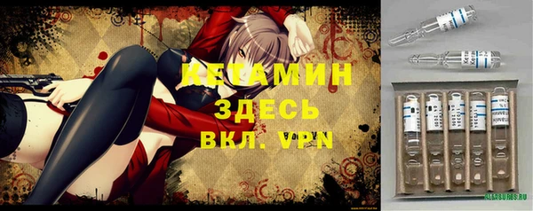 МДПВ Каменка