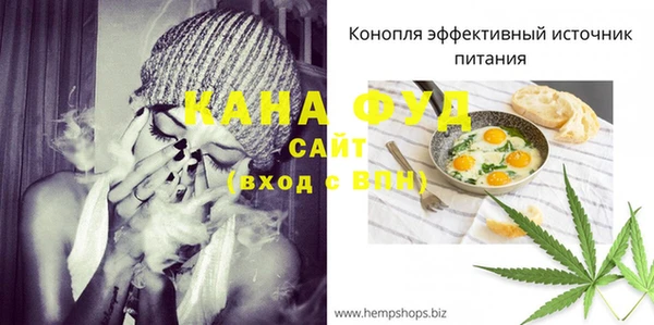 МДПВ Каменка