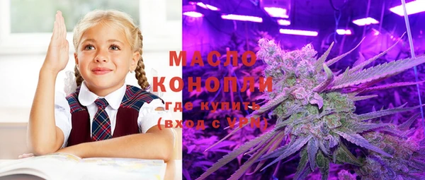 стафф Каменногорск