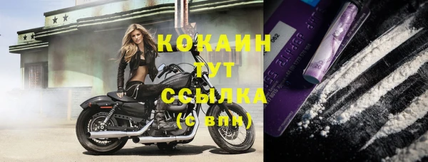 стафф Каменногорск