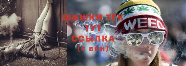 стафф Каменногорск