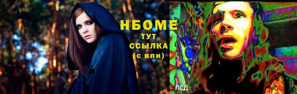 стафф Каменногорск